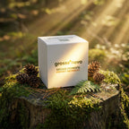 Die Grosse Nova Verpackung für Fototassen fotografiert im Wald auf einem Baumstumpf bei goldenem Morgenlicht.